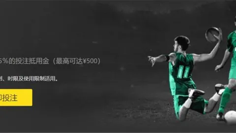 巴黎奥组委主席盛赞开幕式团队，两度点赞“无与伦比”。